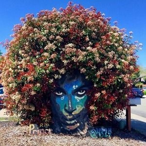 Meet your Posher, Lois